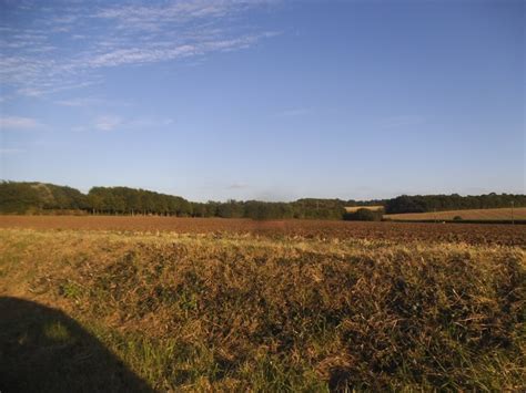 Field By The Endway Steeple Bumpstead © David Howard Cc By Sa20