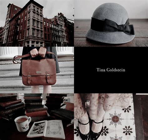 Fantastic Beasts And Where To Find Them Harry Potter Aesthetic