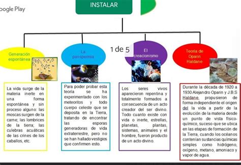 Evolucion De Las Especies