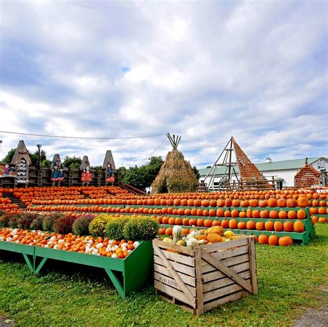 15 Best Pumpkin Patches 2020 Top Pumpkin Farms In America