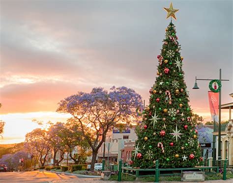 Mayor promises spectacular Camden Christmas tree lighting