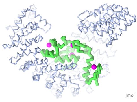 Pdb 101 Learn Exploring The Structural Biology Of Cancer