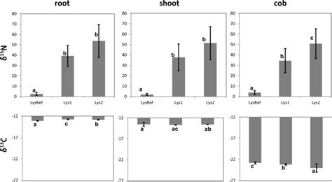 δ¹⁵n And δ¹³c Mean Values In Plant Material Of Roots Shoots And Cobs