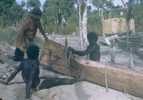 Making A Canoe From Tree Bark G Macdonald Aboriginal History Culture Art Indigenous Peoples