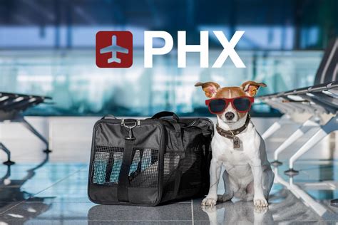 Phoenix Sky Harbor International Airport (PHX) Pet Guidelines - Pet ...