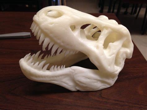 3D Printed The T Rex Skull By Harry Pinshape