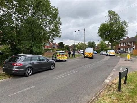 Murder Probe Launched After Two Women Found Dead In London Park Daily