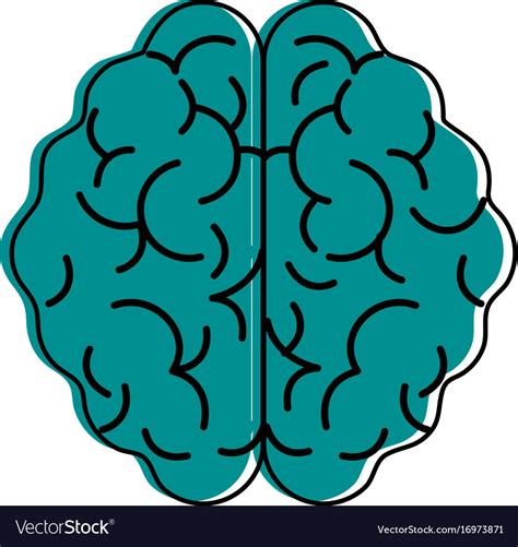 Human Brain Topview Icon Imag Royalty Free Vector Image