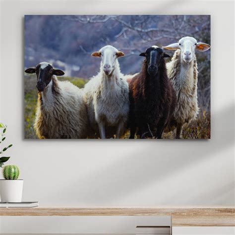 Sheep Canvas Wall Art For A Timeless Design | Tailored Canvases - Wall Art - Canvas Prints, Wall ...