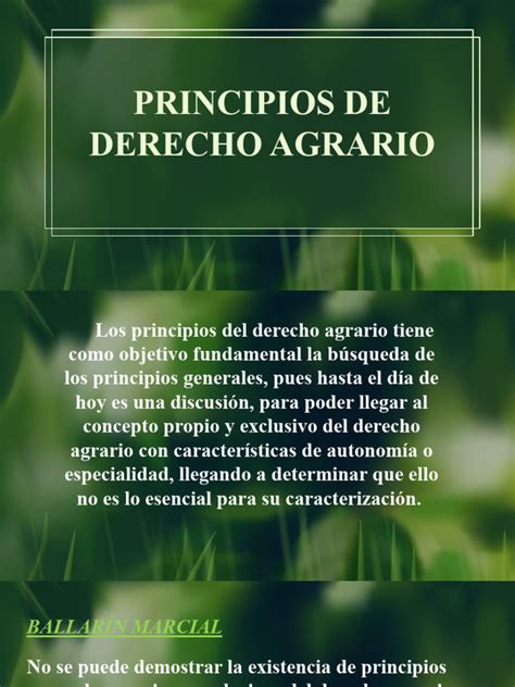 Principios Del Derecho Agrario Pdf Justicia Crimen Y Violencia