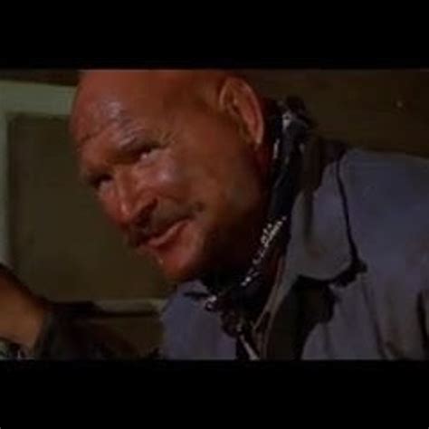 Pam Grier In Foxy Brown Free Free Mobile Porn C3 XHamster XHamster