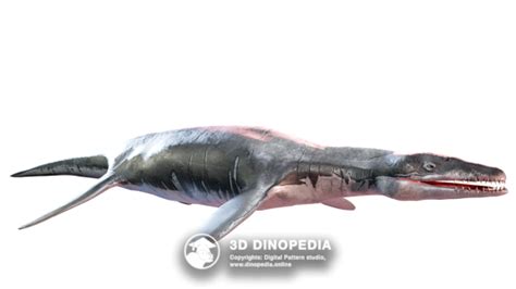 Liopleurodon 3d Dinopedia