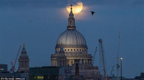 Rare Super Blue Blood Moon Will Be Visible On Wednesday, a Phenomenon ...