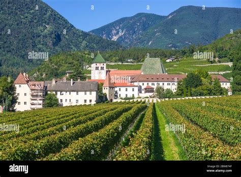 Splendid Vineyards Of The Abbey Of Novacella In Italy Tyrol Ancient