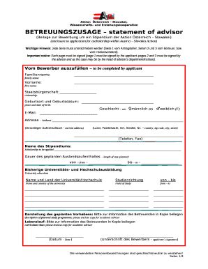 BETREUUNGSZUSAGE Statement Of Advisor Doc Template PdfFiller
