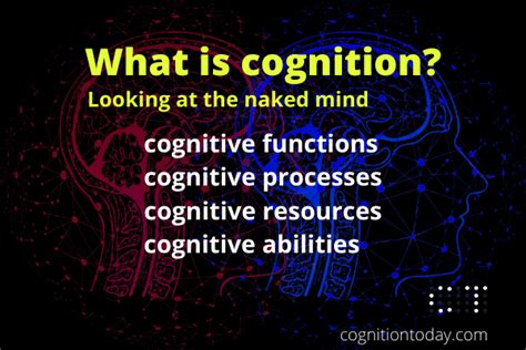 Cognition 101 Executive Functions Cognitive Processes Abilities