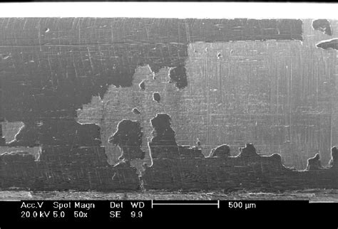 The Running Test Surface Of A Pvd Cr Ti Al N Coated Stainless Steel