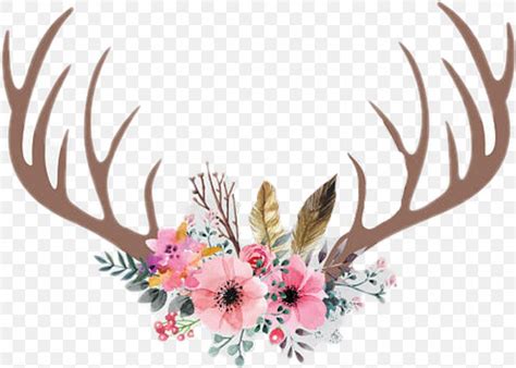 Deer Antler Clip Art Flower Horn Png X Px Deer Antler