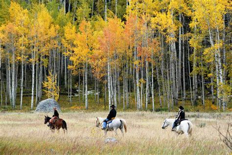 5 Luxury Dude Ranches In The Southwest