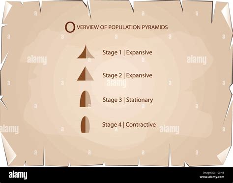 Population And Demography Illustration Set Of 5 Types Of Population