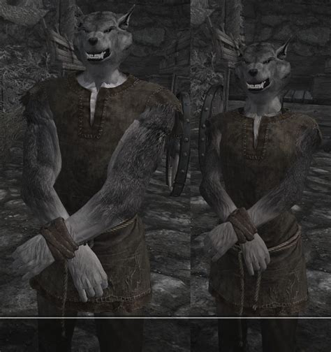 Ulfhednar Werewolf Playable Race Se Skyrim Special