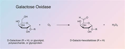 Galactose