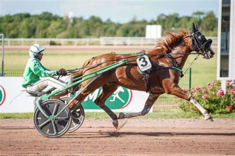 Pronostic Quint Pmu Prix De Brionne Mardi Vincennes Jibi Du