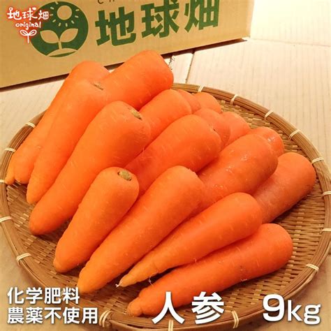 残りわずか 人参 9kg 化学肥料・農薬不使用 鹿児島県産 宮崎県産 冷蔵便 洗い にんじん ニンジン 無農薬 人参ジュース用 発送期間11月