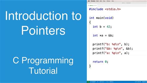 Introduction To Pointers C Programming Tutorial Youtube