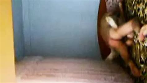 Romanian Sex Free Amateur Porn Video 52 XHamster