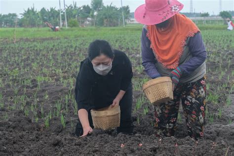 Puan Harap Pekan Nasional Berdampak Besar Tingkatkan Kesejahteraan