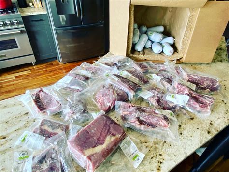 Beef Shares – Downs Ranch