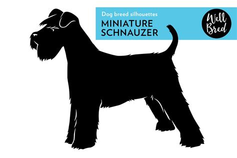 Miniature Schnauzer Silhouette Pre Designed Illustrator Graphics