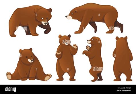 Brown Bear Illustration