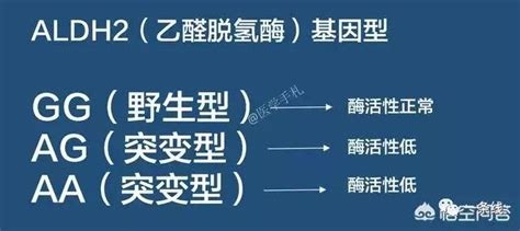 權威雜誌發表最新研究，喝酒破壞dna致癌，還能喝酒麼？（原創） 每日頭條