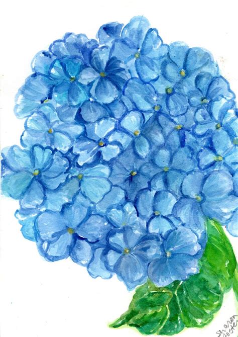 Original Hydrangeas Watercolor Painting 5 X 7 Flowers Artwork