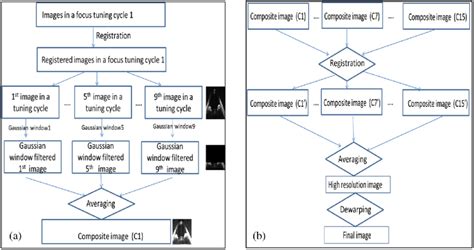 Flowchart Of Dynamic Focusing Oct Image Process A Procedure To Get