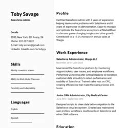 Industrial Mechanic Resume Example & Writing Guide — CVBLADE