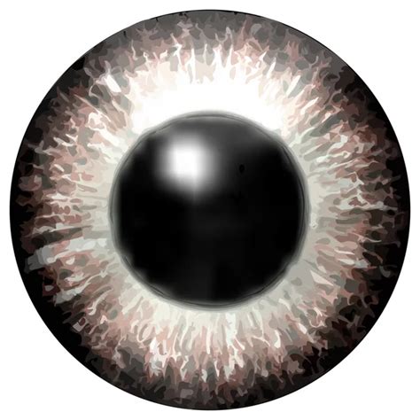 Eye iris generated hires texture Stock Photo by ©PandaWild 119706612