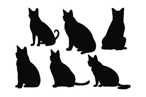 Cute Siamese Cats Silhouette Bundle Design Domestic Cats Sitting In Different Positions Cat