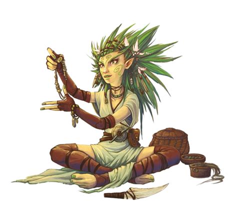 Female Gnome Druid Pathfinder Pfrpg Dnd Dandd 3 5 5th Ed D20 Fantasy Female Gnome Fantasy