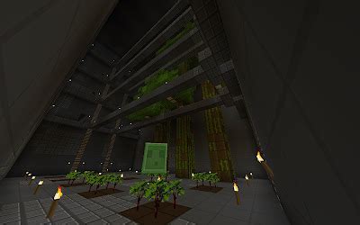 Random Diversions: Minecraft - Jungle Tree Farm