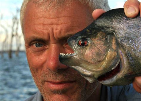 Piranha Photos, Payara Photos | River Monsters | Animal Planet