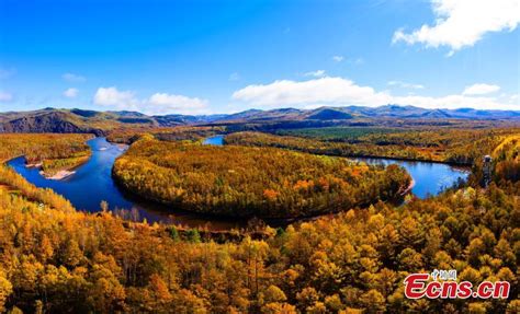 Postcard Like Autumn Scenery In Greater Khingan Mountains