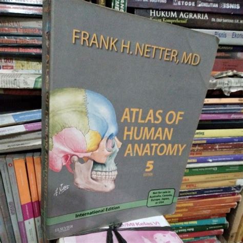 Jual Buku Atlas Anatomi Atlas Of Human Anatomy International Edition By