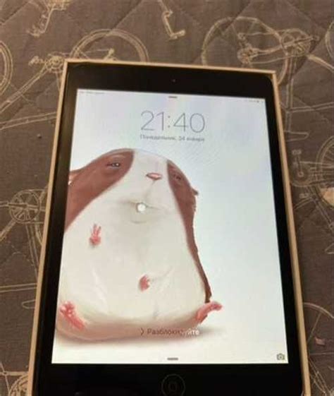 Apple Ipad Mini Festima Ru