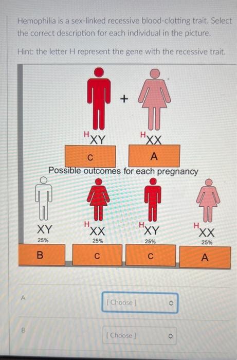 Solved Hemophilia Is A Sex Linked Recessive Blood Clotting Chegg