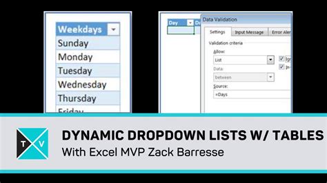 How to Create Dynamic Drop Down Lists Using Excel Tables - Excel TV