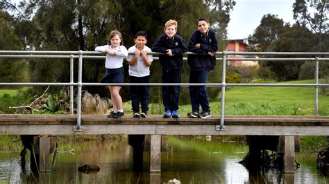 Mawson Lakes Schools Flooding Bridge Will Be Investigated By Salisbury