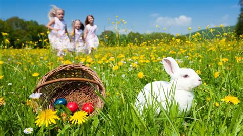 Pâques 2018 notre sélection des meilleures chasses aux oeufs